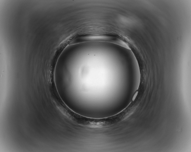 X0000087570450200704271250
