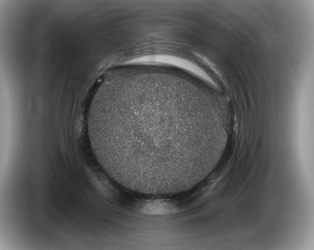 X0000087570451200704271250