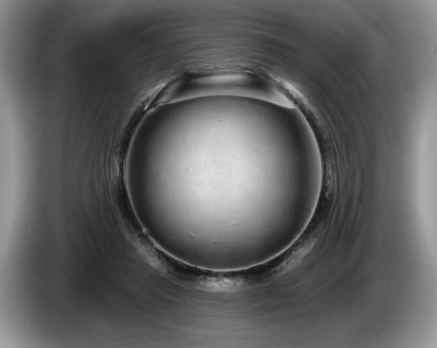 X0000087570453200704271250