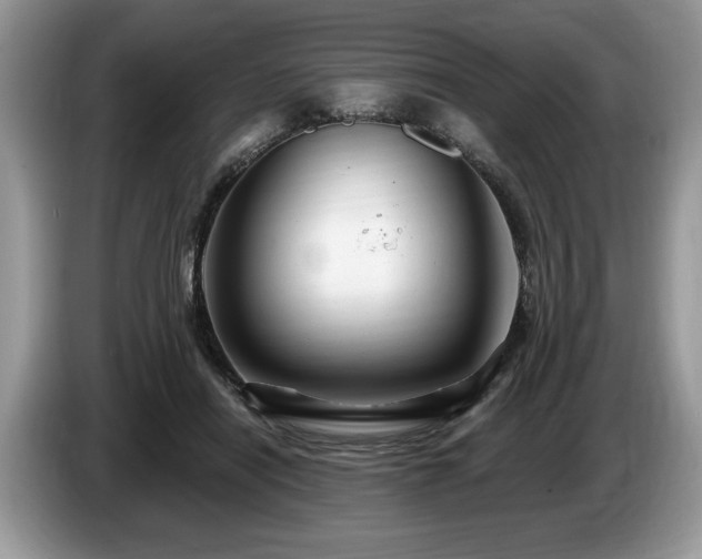 X0000087570454200704271250