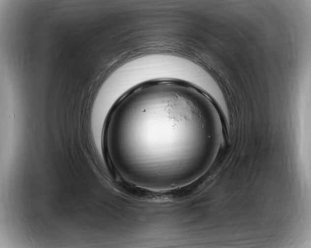 X0000087570456200704271250