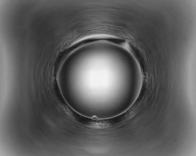 X0000087570466200704271250
