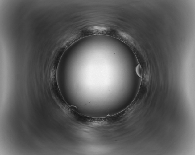 X0000087570468200704271250