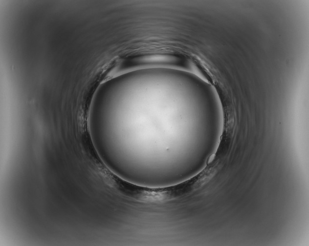 X0000087570469200704271250