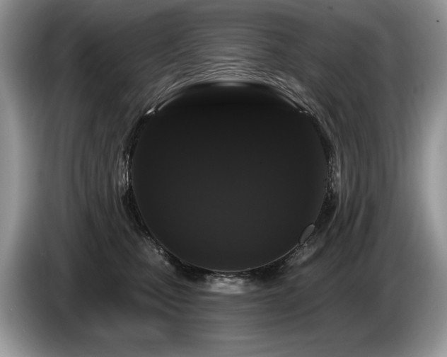 X0000087570471200704271250