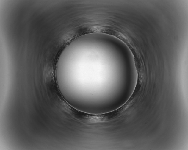 X0000087570473200704271250