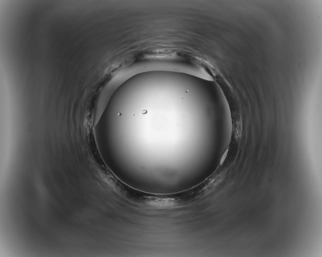 X0000087570476200704271250