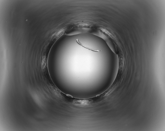 X0000087570478200704271250
