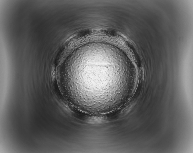 X0000087570479200704271250