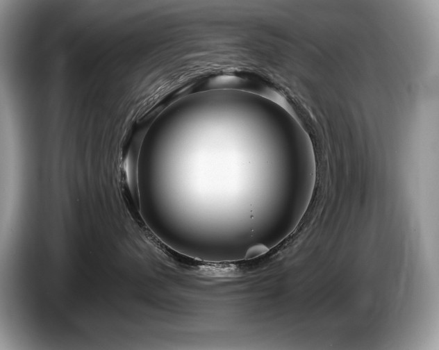 X0000087570480200704271250