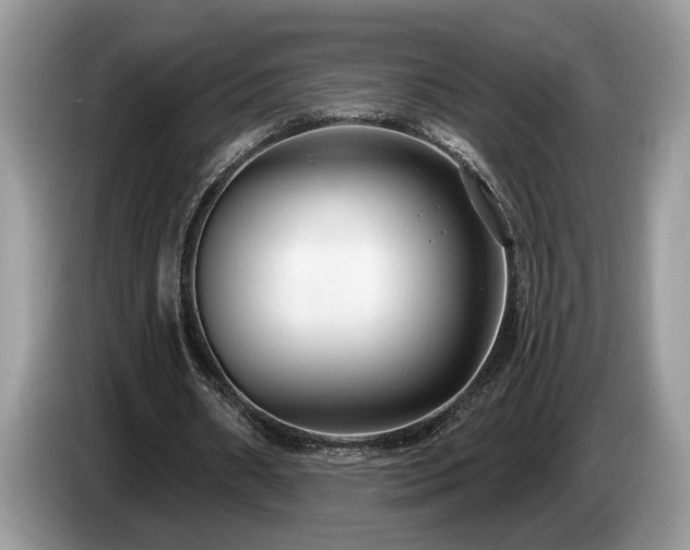 X0000087570482200704271250