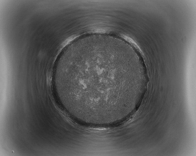 X0000087570483200704271250