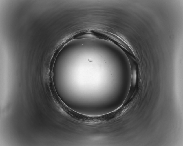 X0000087570485200704271250