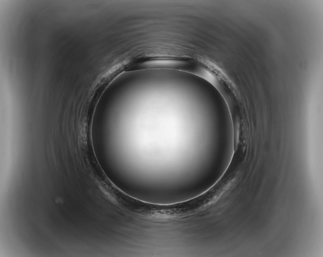 X0000087570489200704271250