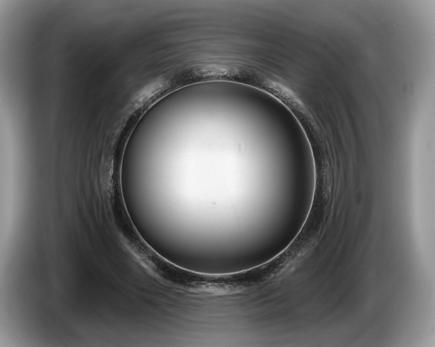 X0000087570490200704271250