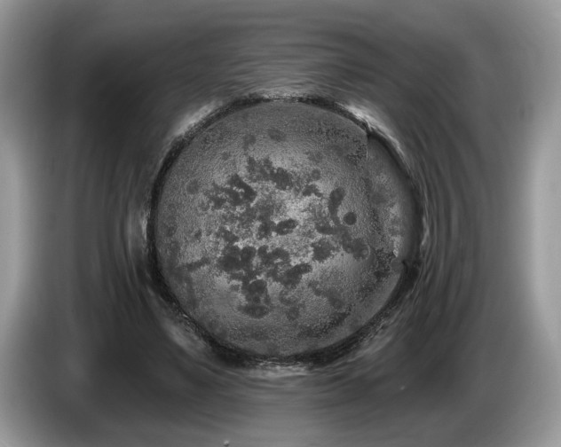 X0000087570491200704271250