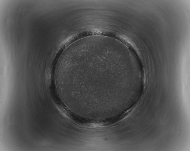 X0000087570496200704271250