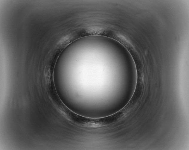 X0000087570498200704271250