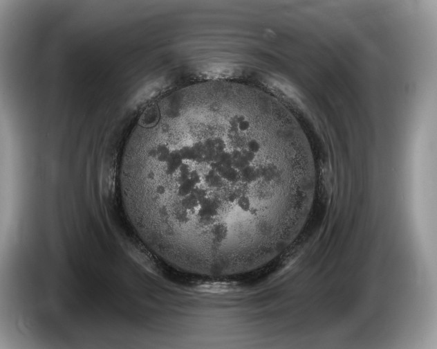 X0000087570499200704271250