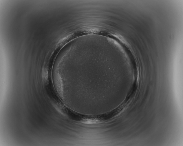 X0000087570500200704271250
