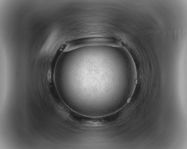X0000087570502200704271249