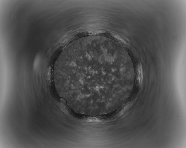 X0000087570519200704271249
