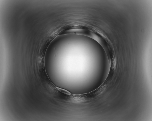 X0000087570521200704271249