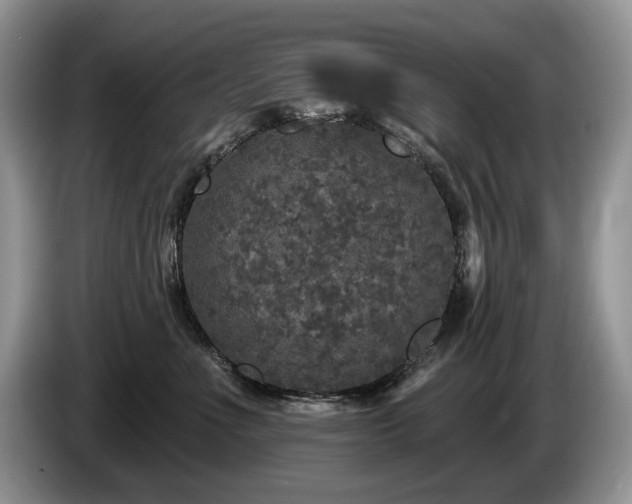 X0000087570523200704271249