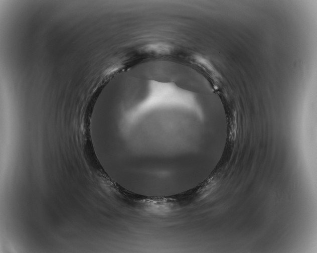 X0000087570524200704271249