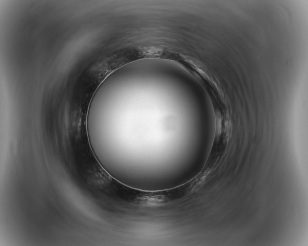 X0000087570525200704271249