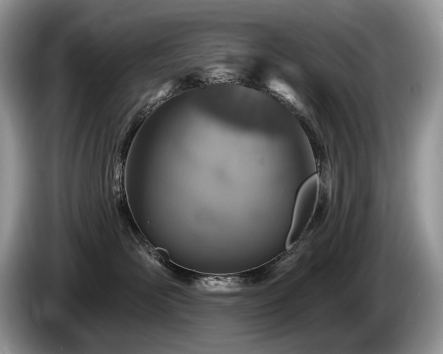 X0000087570526200704271249