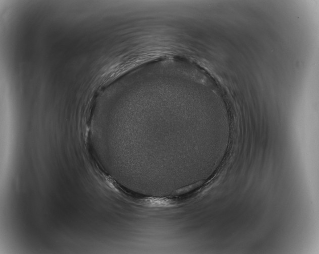 X0000087570528200704271249
