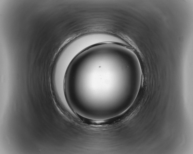 X0000087570530200704271249