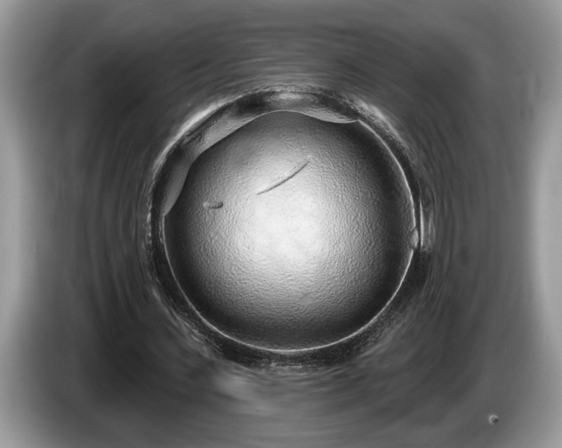 X0000087570531200704271249