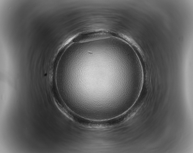 X0000087570533200704271249