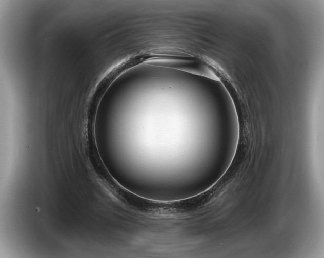 X0000087570535200704271249