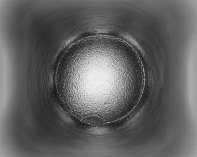 X0000087570537200704271249