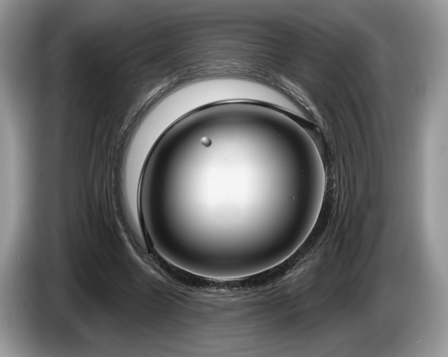 X0000087570538200704271249
