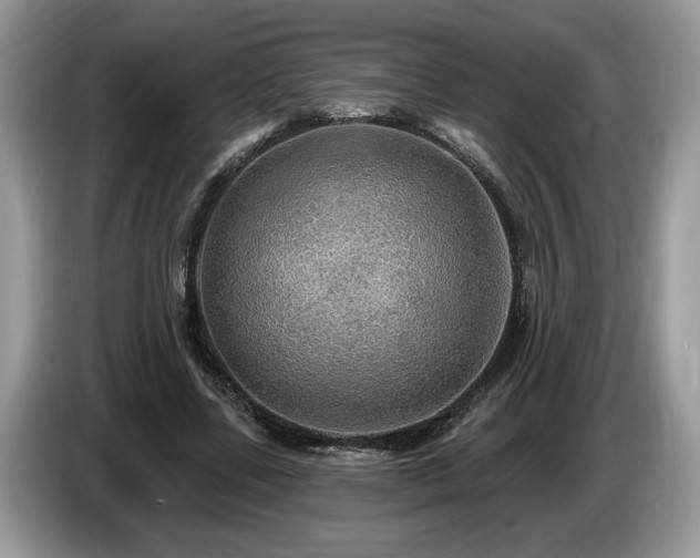X0000087570539200704271249