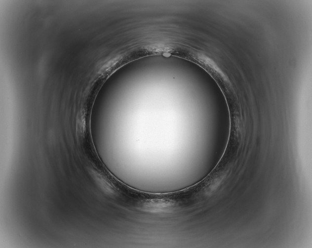 X0000087570541200704271249
