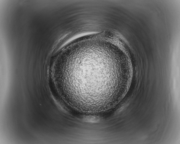 X0000087570542200704271249