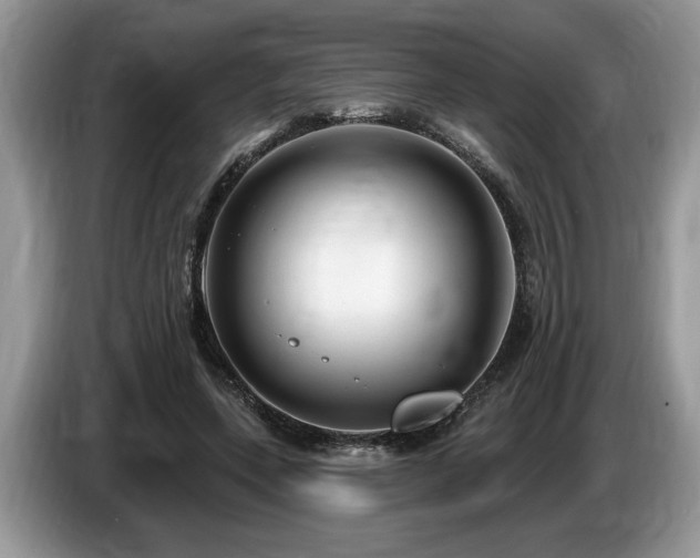 X0000087570543200704271249