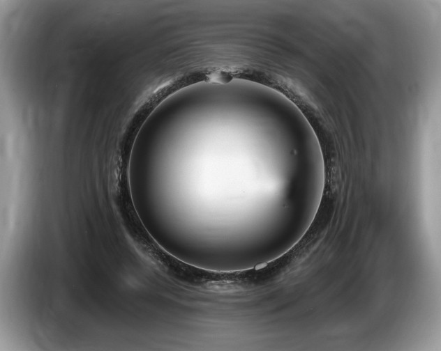 X0000087570544200704271249