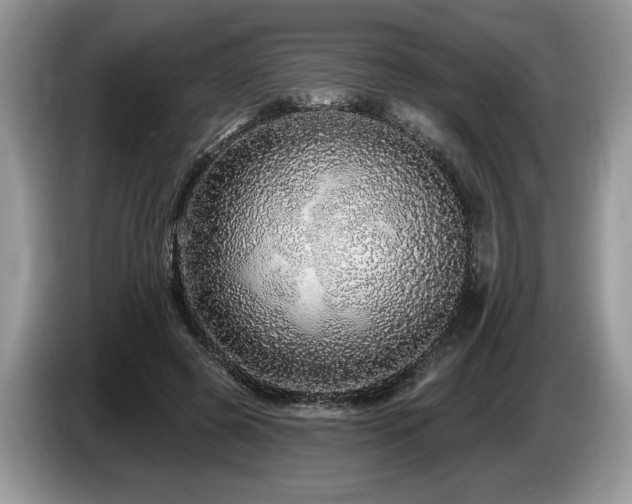 X0000087570545200704271249