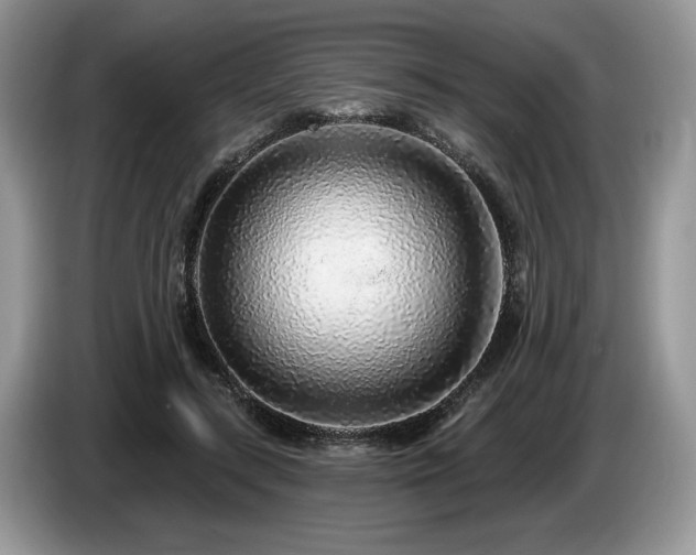 X0000087570547200704271249