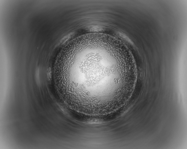 X0000087570549200704271249