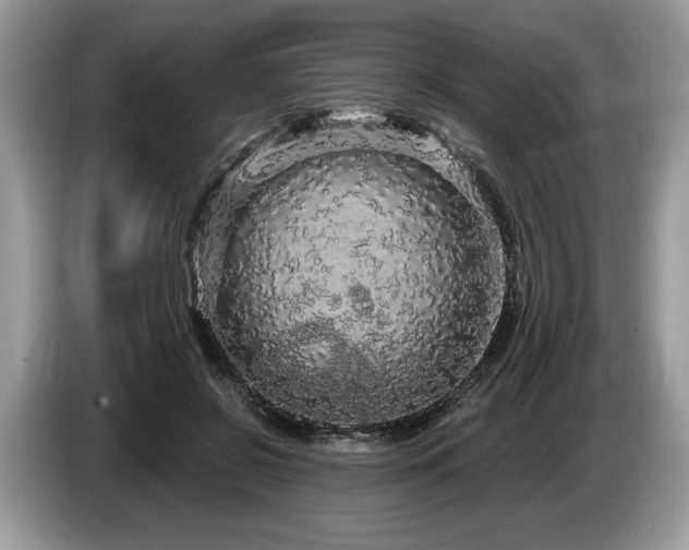 X0000087570550200704271249