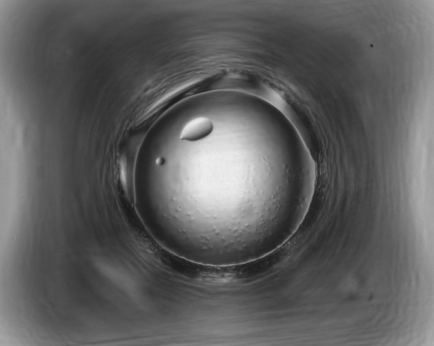 X0000087570554200704271249