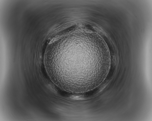 X0000087570557200704271249