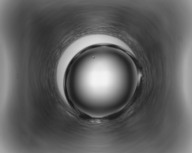 X0000087570558200704271249